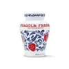 Fragola Fabbri Morango Silvestres em Calda Opaline 600gr