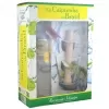 Kit Caipirinha Cachaça Harmonie Schnaps 700ml