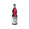 Xarope Fabbri Mixybar Flor e Baga Sabugueiro 1000ml